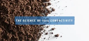 Is Soil a Conductor or Insulator